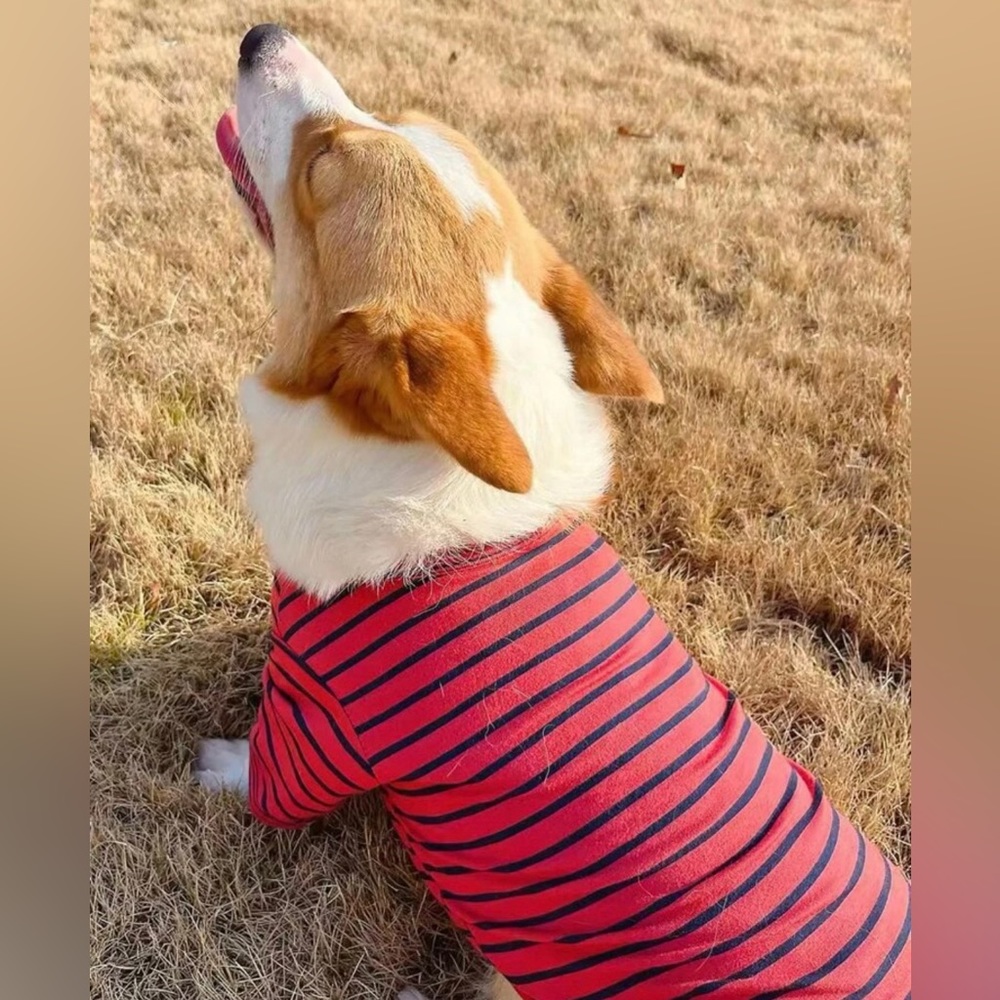 Striped Pattern Dog Tee - Picture 4 of 6